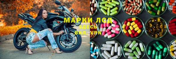 сатива Арсеньев