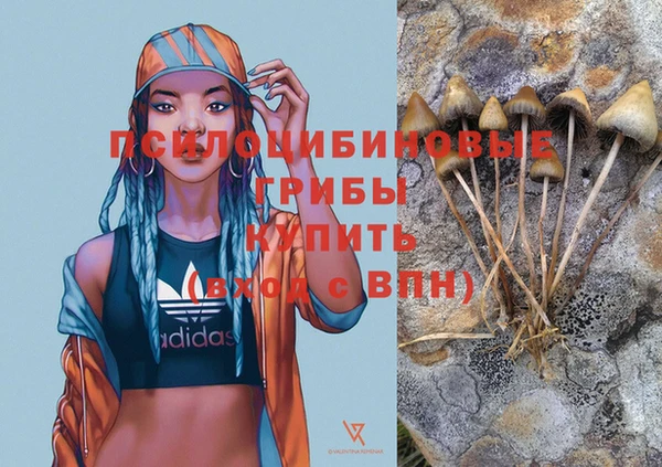 сатива Арсеньев