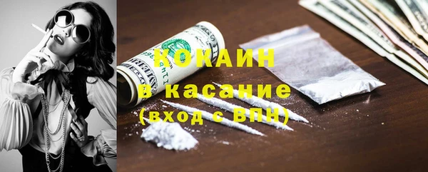 сатива Арсеньев