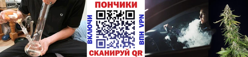 Марихуана сатива  MEGA маркетплейс  Гвардейск 